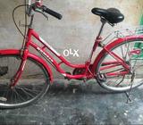 Japani cycle