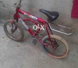 Chald bicyclea