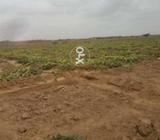 Maroosi land 30acrr per acrr demand 6lac