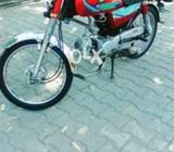 City baik arjant sall