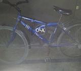 Large size Bicycle