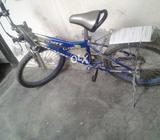 Bicycle for kids