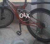 By Cicle of phonex
