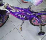 Bicycless blue colr
