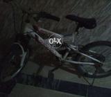 Chicago japanese cyle