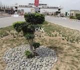 8 Marla Best Location Plot Available In Block E CDA Sector B-17 Islama