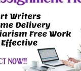 Resource in work Thesis | Dissertation | Assignments