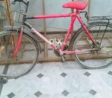 Cycle phonex urgent sale only chats