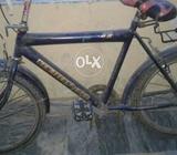 Bicycle black colour