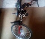 Phoenix new gare wali