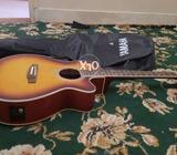 Music guitar