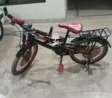 Rasing sycycle