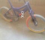 Buy are new bycycle