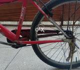 Cycle red color
