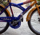 Gear cylce of morgan