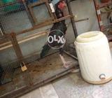 Sindhi bacha crees kr rha ha