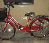 In cycle japani originale