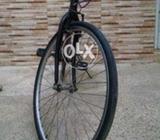 Pangea hybrid bicycle