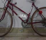 Vintage Road Bike