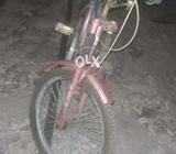 Girl Cycle