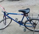 Yar ma bicyel sall karna chata ho