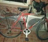 Phonic bicycling