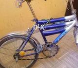 Altar cycls