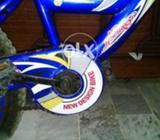 Blue in colur