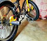 Bmx free style