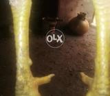 Poure asel karalla taj