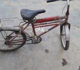 Baba Bicycle