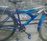 Momtan cycle
