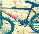 Only frame