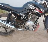 Yamaha new