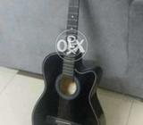 Acoustic Guitar