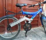 I am salling my bicycle