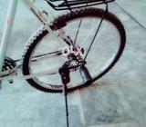 Its be a new phonix