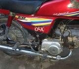 10 by 10 show sn