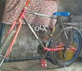 Original phoenix scycle