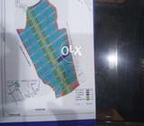 Plot in Madina Enclave