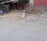 Khota for sale