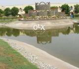 Bahria orchard 10 marla plot for sale 463 G3 phase 4