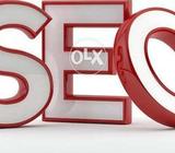 SEO Courses Starts From 1 Nov | SEO Classes | WebsChain